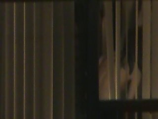 猫泵舔阴